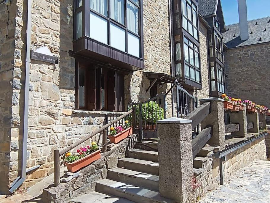 Pena Telera Petfriendly - Arafita Apartamentos El Pueyo de Jaca Kültér fotó